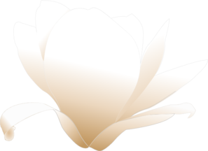 White Magnolia Clip Art